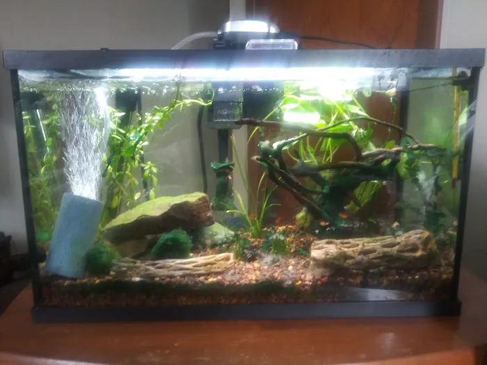 Sofishticated Aquatics Picture 3