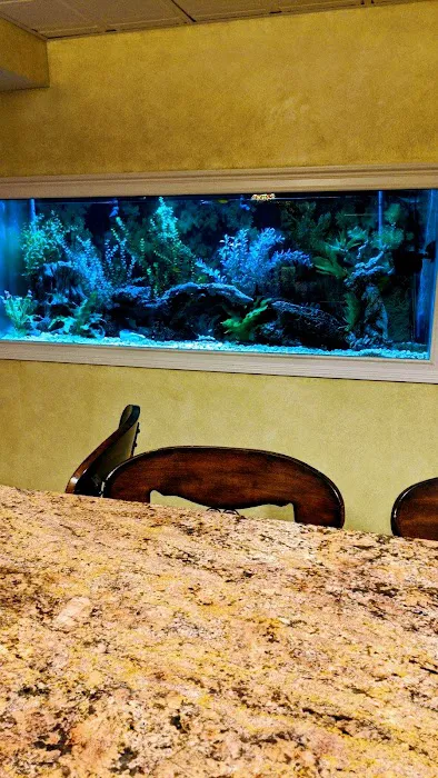 Sofishticated Aquatics Picture 6