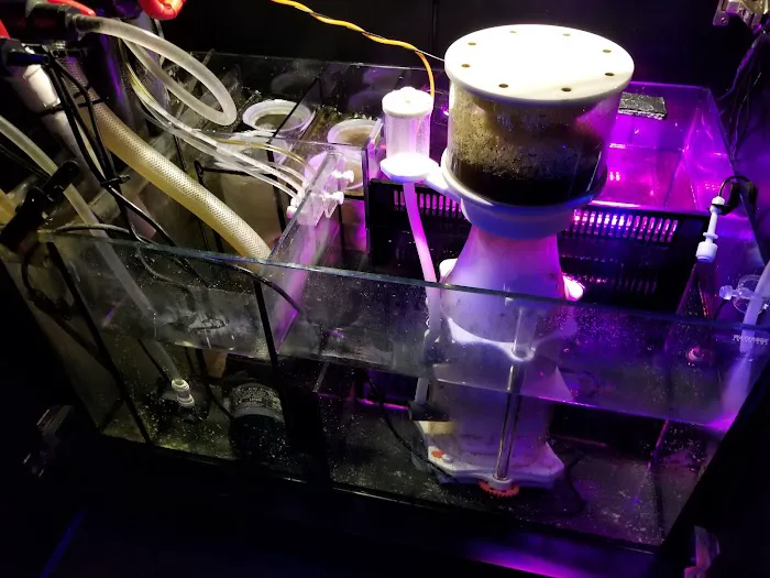 Sofishticated Aquatics Picture 7