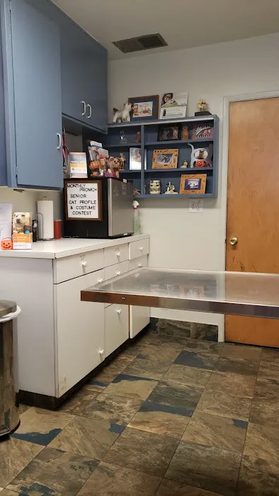 Beach Boulevard Pet Hospital Picture 2