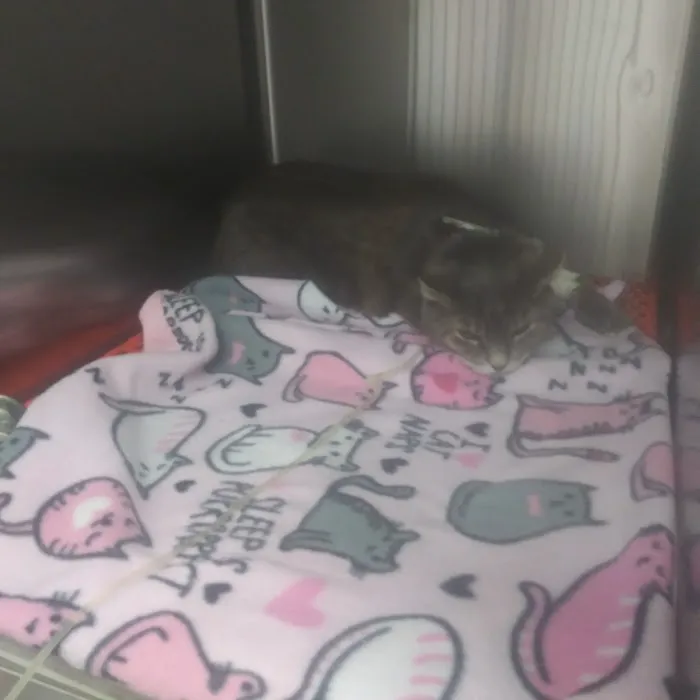 Beach Boulevard Pet Hospital Picture 7