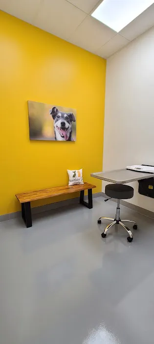 Healthier Pet Veterinary Care Picture 1