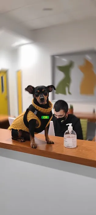 Healthier Pet Veterinary Care Picture 6