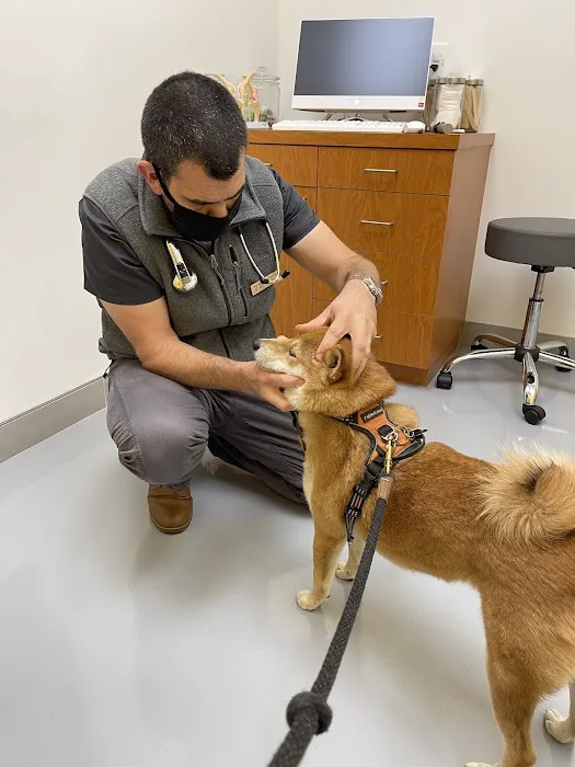 Healthier Pet Veterinary Care Picture 2