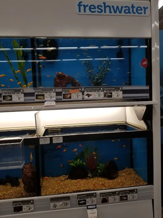 Petco Picture 1