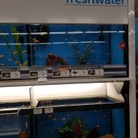 Petco ico