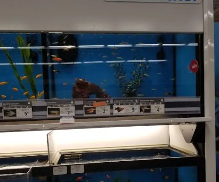 Petco