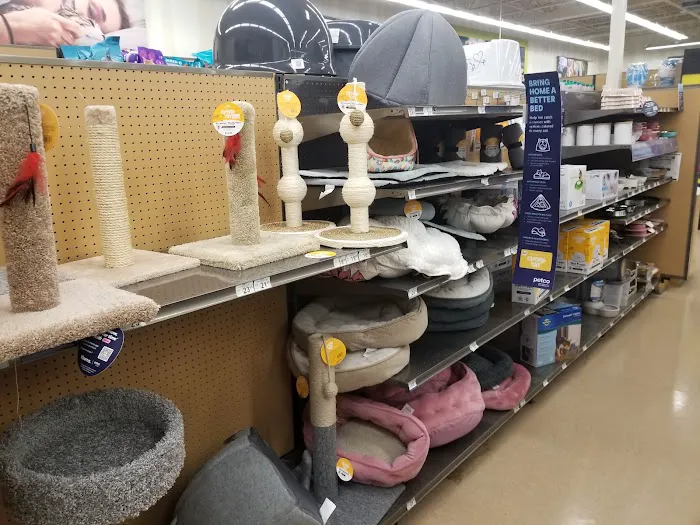 Petco Picture 10