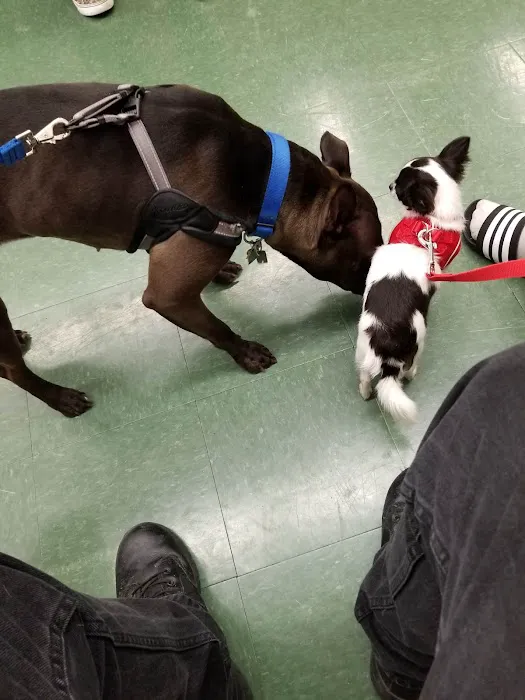Petco Picture 8
