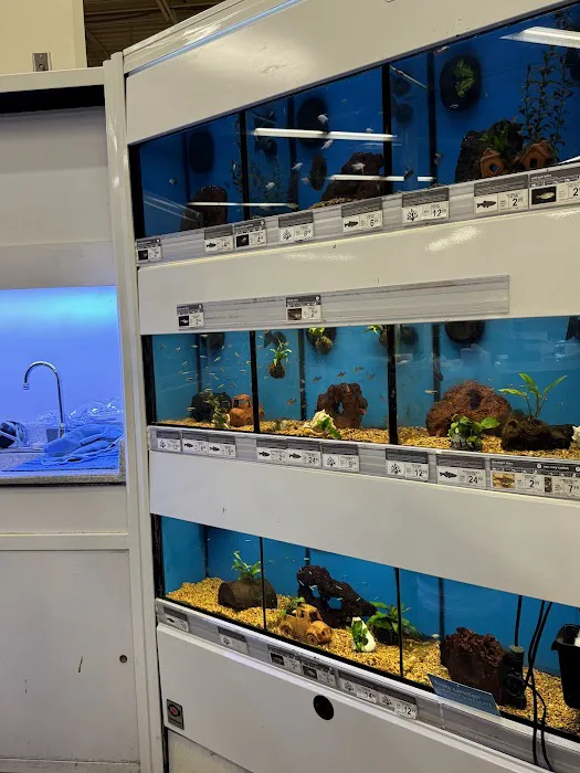 Petco Picture 6