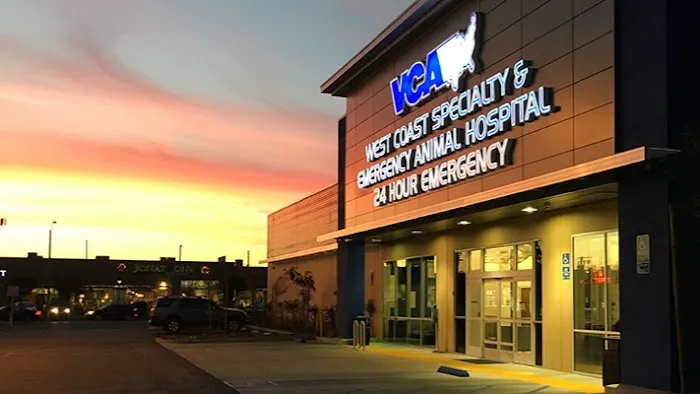 VCA West Coast Specialty and Emergency Animal Hospital Picture 7
