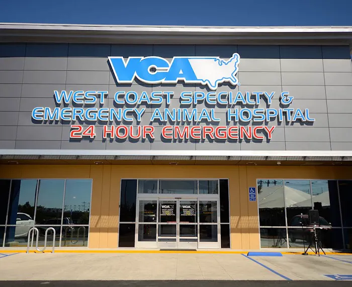 VCA West Coast Specialty and Emergency Animal Hospital Picture 6