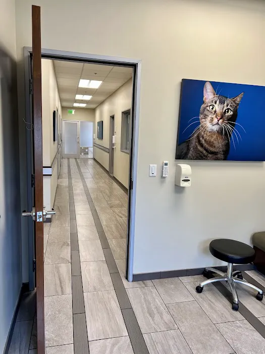 VCA West Coast Specialty and Emergency Animal Hospital Picture 3