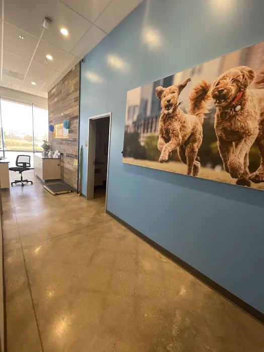 Vetco Total Care Animal Hospital Picture 5