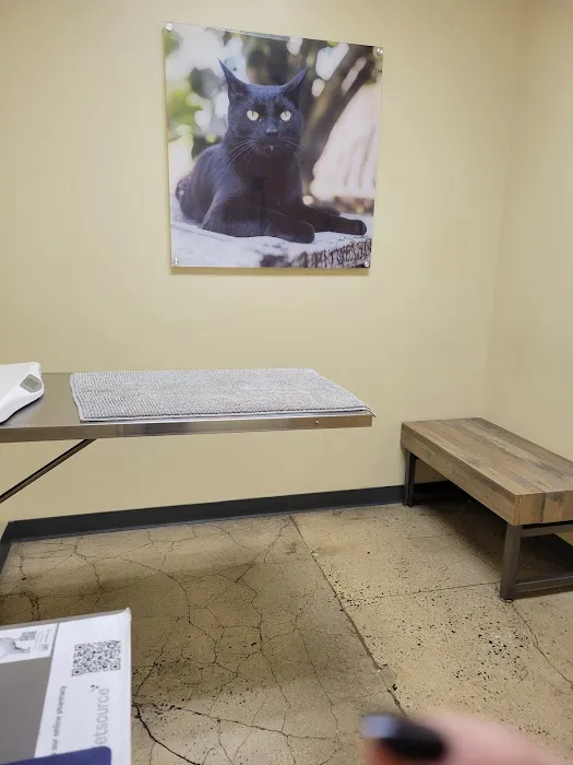 Vetco Total Care Animal Hospital Picture 9