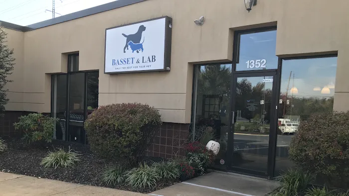 Basset and Lab Picture 10