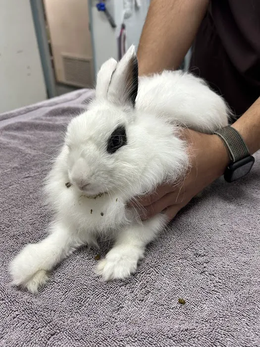 South Coast Pet Hospital Picture 3