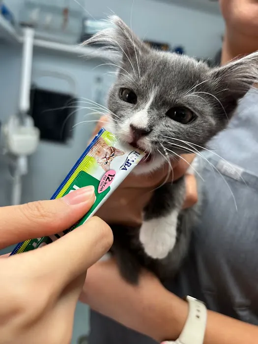 Brook-Ellis Pet Hospital Picture 4