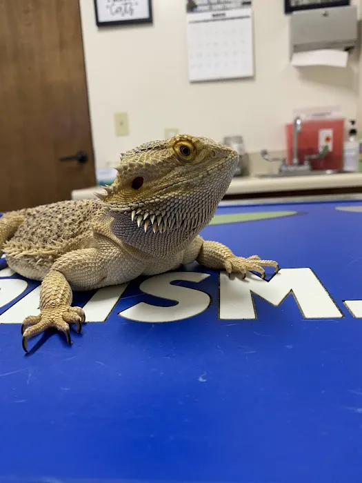 Brook-Ellis Pet Hospital Picture 6
