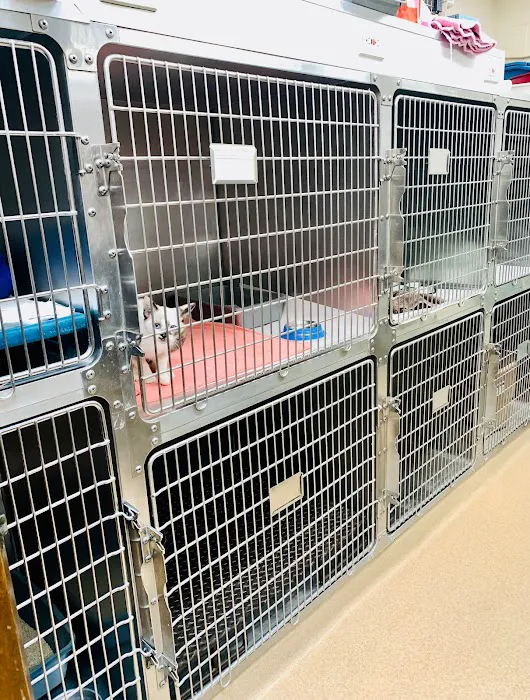 Brook-Ellis Pet Hospital Picture 2