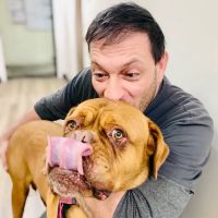 Brook-Ellis Pet Hospital ico