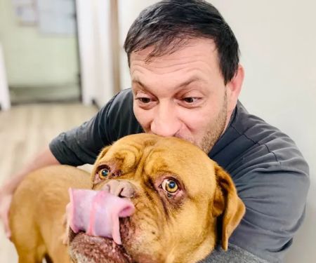 Brook-Ellis Pet Hospital