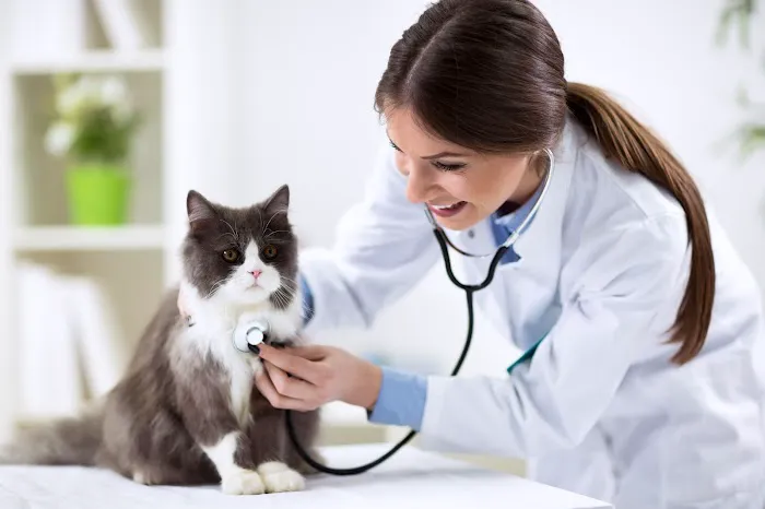 Santa Ana Veterinary Hospital Picture 8