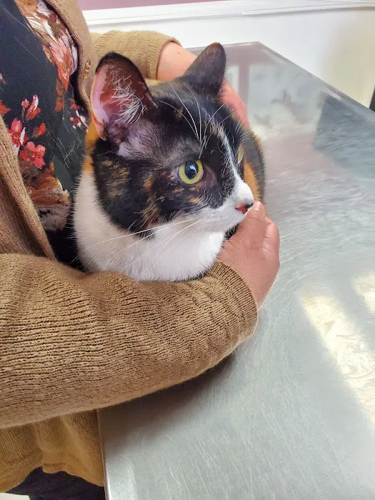 Santa Ana Veterinary Hospital Picture 7