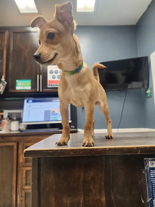 Santa Ana Veterinary Hospital Picture 1