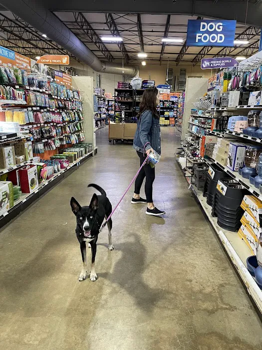 That Fish Place - That Pet Place Picture 6