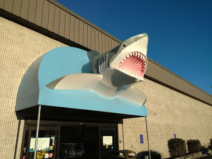 That Fish Place - That Pet Place Picture 2