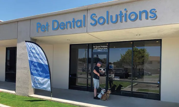 Pet Dental Solutions Picture 1