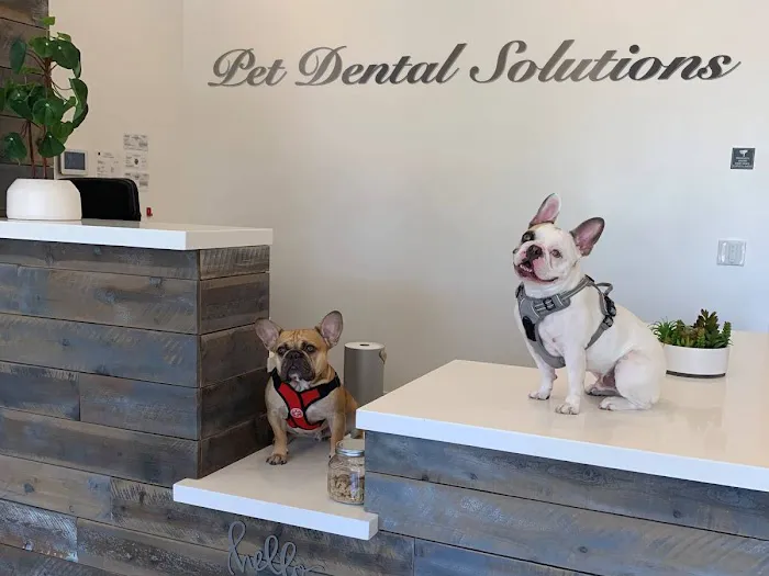 Pet Dental Solutions Picture 5