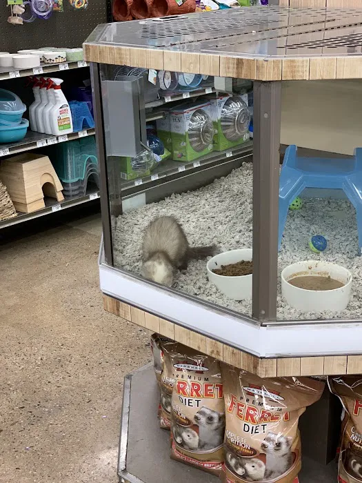 Petco Picture 6