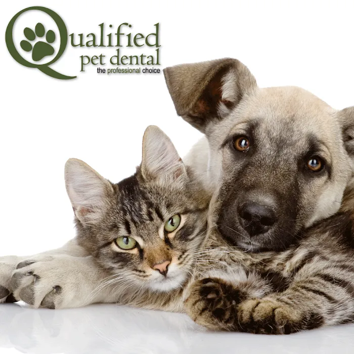Qualified Pet Dental Picture 10