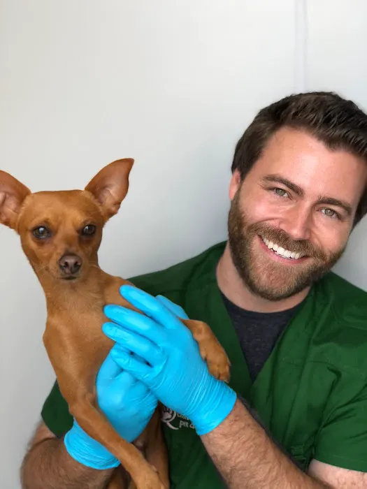 Qualified Pet Dental Picture 3