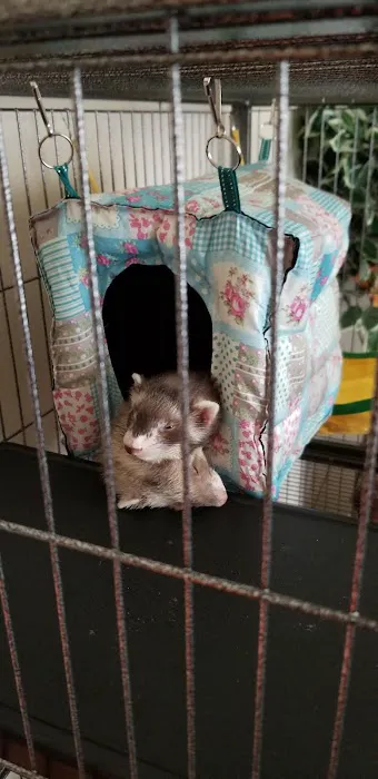 Petco Picture 3