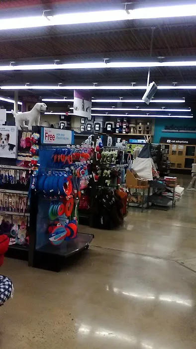 Petco Picture 4