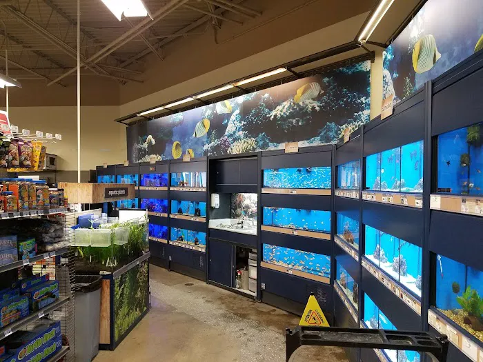 Petco Picture 5