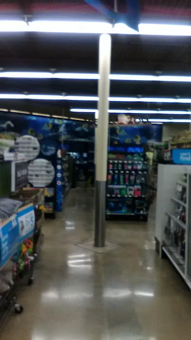 Petco Picture 8
