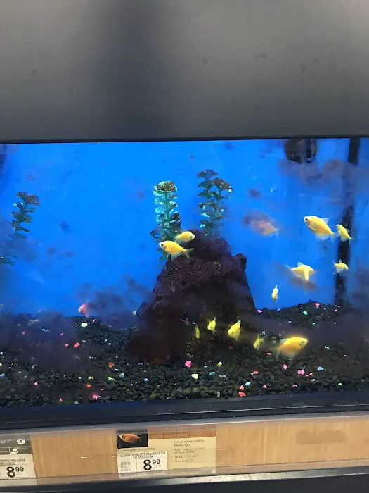 Petco Picture 7