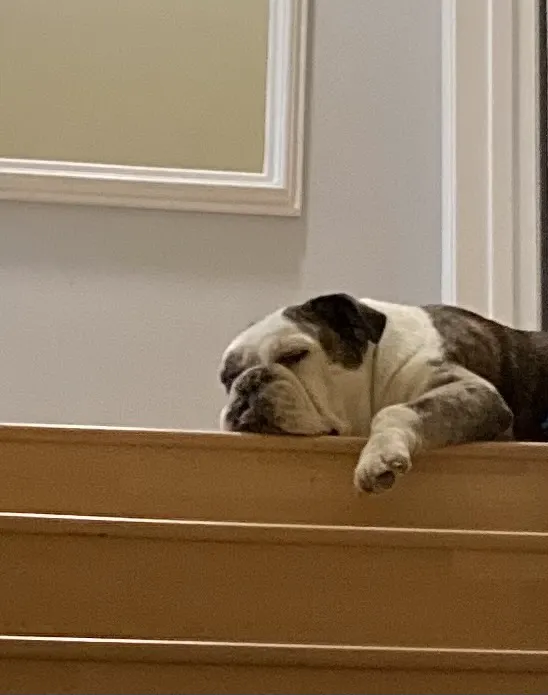 Beach City Animal Hospital Picture 5