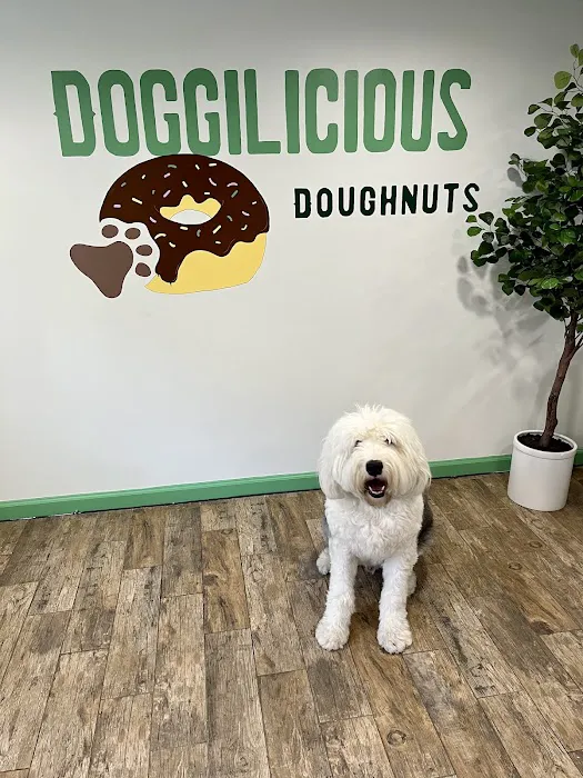 Doggilicious Doughnuts K9 Bakery Picture 4