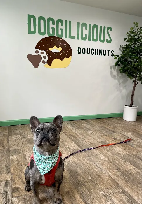 Doggilicious Doughnuts K9 Bakery Picture 10