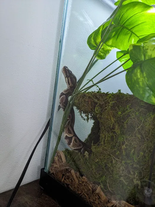 Global Pets Picture 3