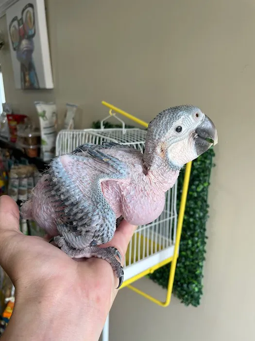 Global Pets Picture 7