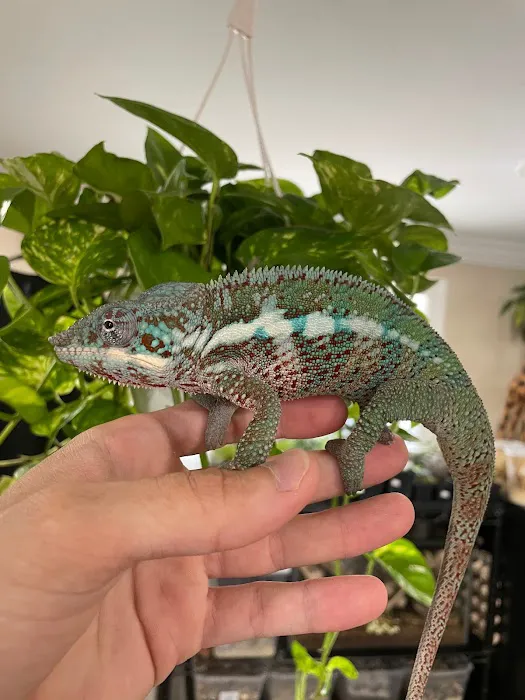 Global Pets Picture 8