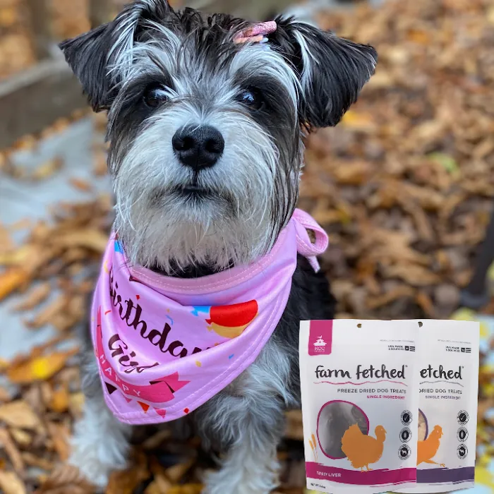 KCC Naturals Farm Fetched® Picture 3