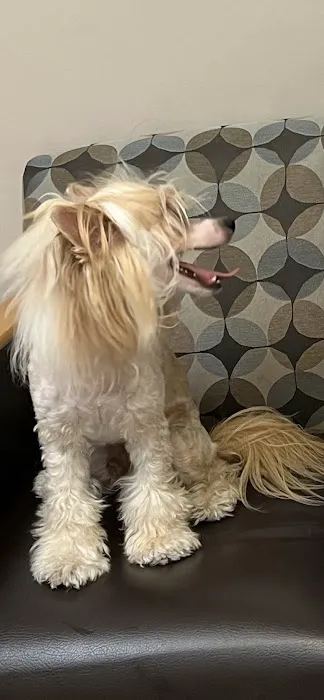 Warner West Pet Clinic Picture 1