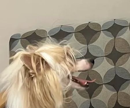 Warner West Pet Clinic